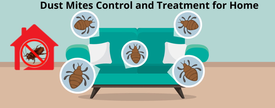 dust mites control, dust mites treatment, Remove dust mites from your House